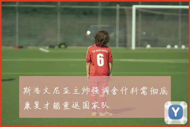 斯洛文尼亚主帅强调舍什科需彻底康复才能重返国家队