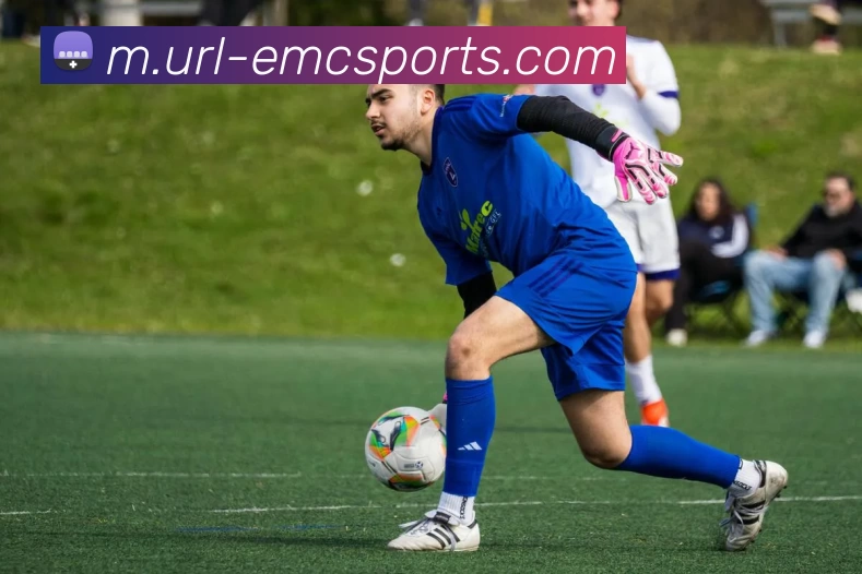 App Interface Preview